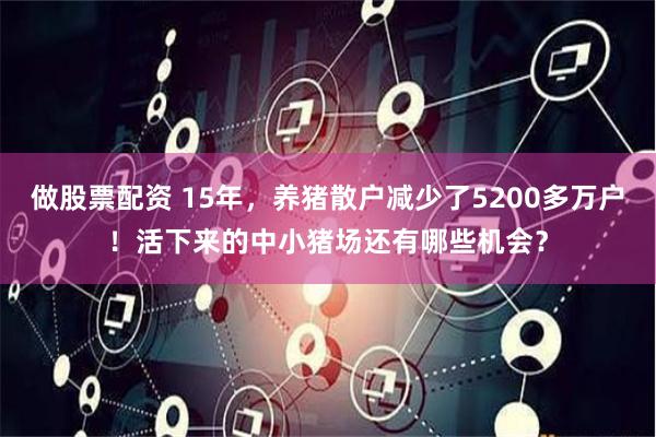 做股票配资 15年，养猪散户减少了5200多万户！活下来的中小猪场还有哪些机会？