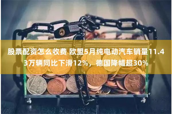 股票配资怎么收费 欧盟5月纯电动汽车销量11.43万辆同比下滑12%，德国降幅超30%