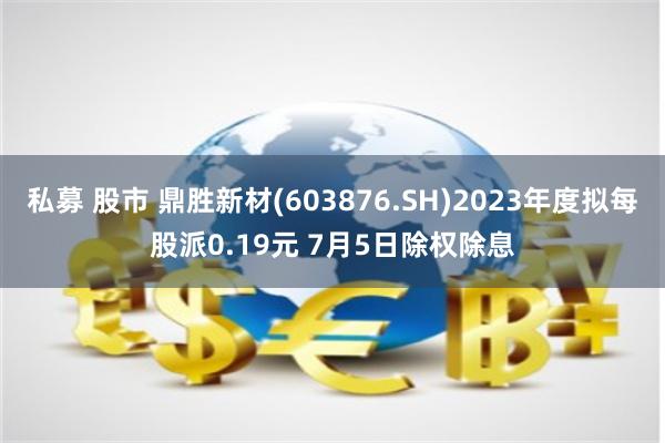 私募 股市 鼎胜新材(603876.SH)2023年度拟每股派0.19元 7月5日除权除息