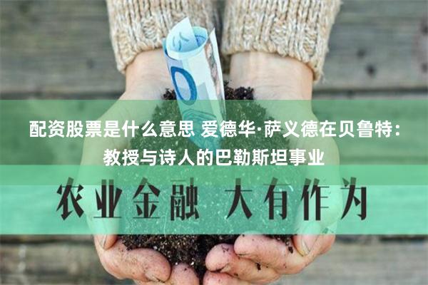 配资股票是什么意思 爱德华·萨义德在贝鲁特：教授与诗人的巴勒斯坦事业