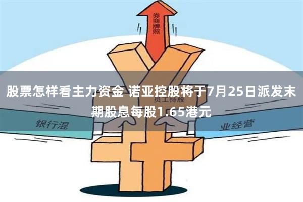 股票怎样看主力资金 诺亚控股将于7月25日派发末期股息每股1.65港元