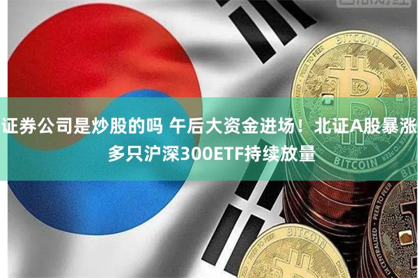 证券公司是炒股的吗 午后大资金进场！北证A股暴涨 多只沪深300ETF持续放量