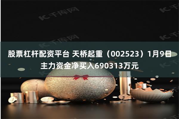 股票杠杆配资平台 天桥起重（002523）1月9日主力资金净买入690313万元
