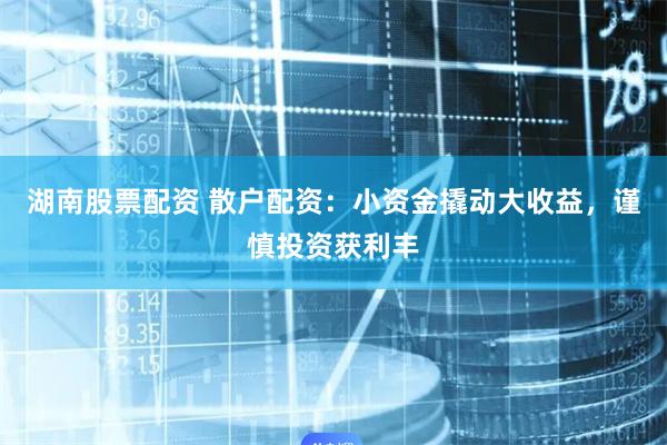 湖南股票配资 散户配资：小资金撬动大收益，谨慎投资获利丰